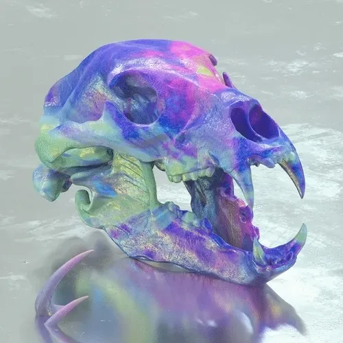 SUPERCHIEF Collection - old