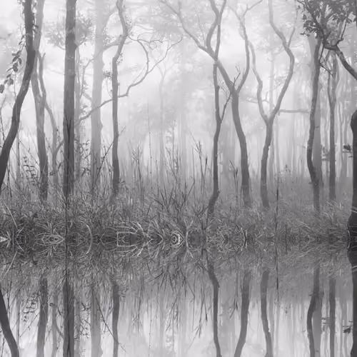 No.09 Mist forrest