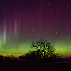 Northern Lights #3