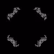 28443995152471149050779096716874073019196944392079521946786448766208330170369