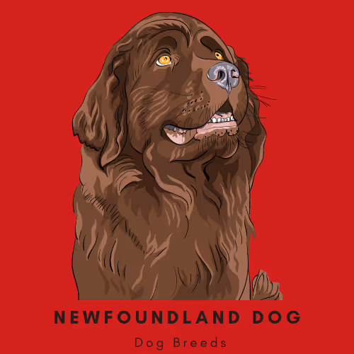 Item #102435799496306094734793923269386745647945406749022464082574321263091470303233 Media