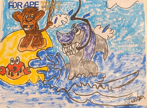 Fishdontwearshoes Collection