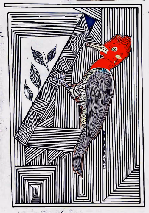 Item #68668679460733179751995579046996266075263869281073028949934511800307391922179 Media