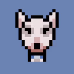 Sylvester - Bull Terrier