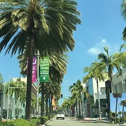 Beverly Hills Rodeo Drive