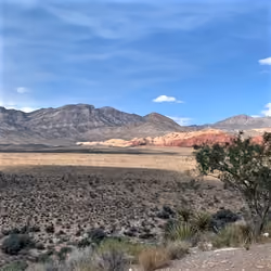 Photo Desert- Shadow