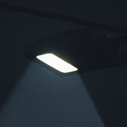 Light