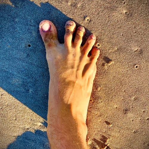 78021035901715520194924775622650316392600202825631748760738384797098030661633