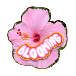 Blooming