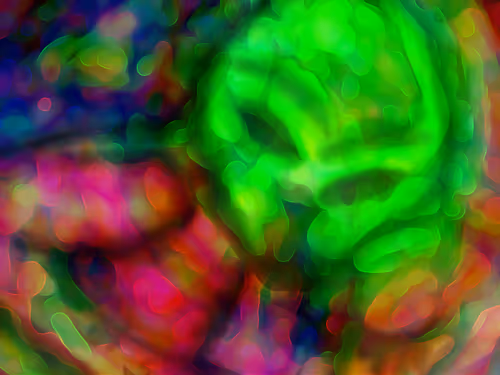 Item #15788716269792817091517444034975324371579435356184901086933549804436169162753 Media