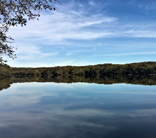 Item #60286361363657250857601775030637471218171117852543341295073303962373962334209 Media