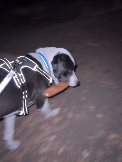 Item #105834024391357075748601040405813771332668261727117640487945798145739694538753 Media