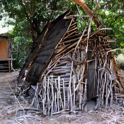 Primitive hut #4