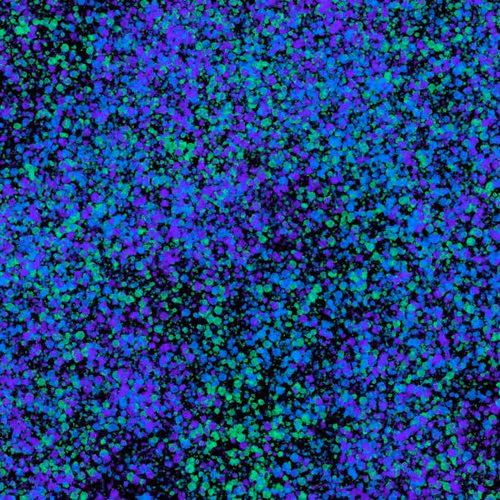 944858660688572096584618472555991747686703840338442188877309623650245148673