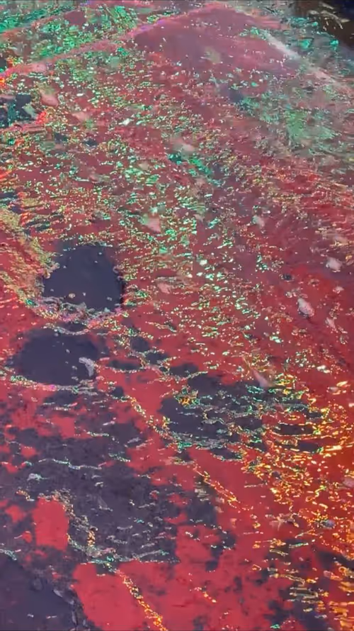 Item #62402000334580523921237358418718502457721815832787791947048085172750806679553 Media