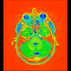 64162533542198579898252916190583583845604629893829087458582976036063575801857