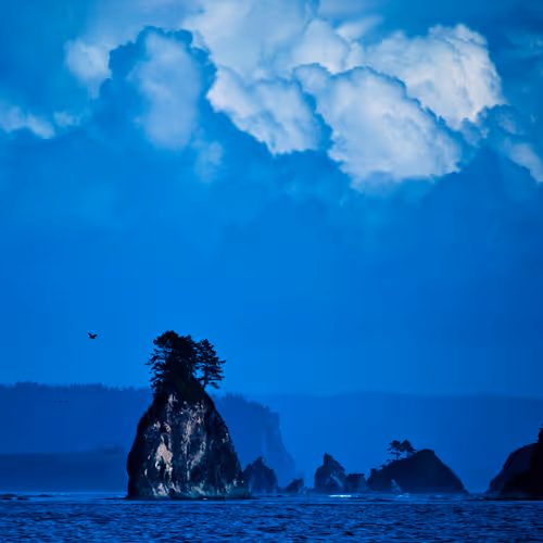 Camp-LGL Collection - old