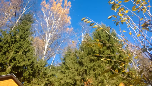 Item #52895557054077878382104802534352742176621658292506660955636510188565124087809 Media