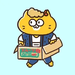 Running Box Cat #0103