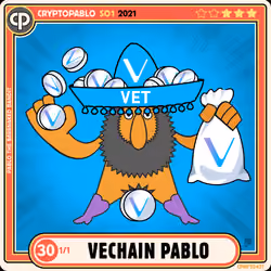 #30 Vechain Pablo