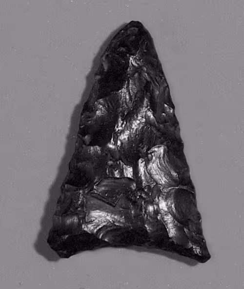 Item #13054743461556892059086844820140622319047360899879579049167545231579998584833 Media