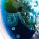 Blue period