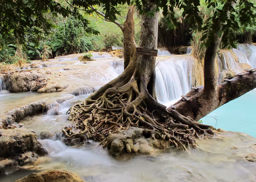 Item #86548725640412939474759328435458413273606034301935223516816389294125771390977 Media