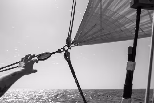 Item #34110083671509346653453586160941404072216291014688644284046702279031512891393 Media