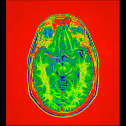 64162533542198579898252916190583583845604629893829087458582976392305343201281