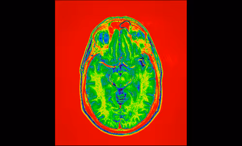 Item #64162533542198579898252916190583583845604629893829087458582976392305343201281 Media