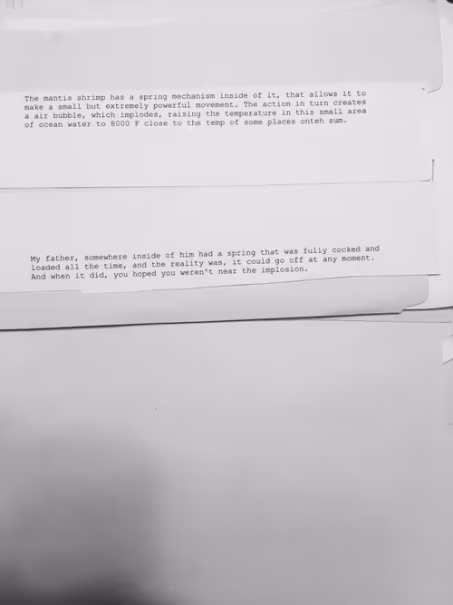 Item #7627720120407207119553659042357604453673247961871973950985320456521961701377 Media