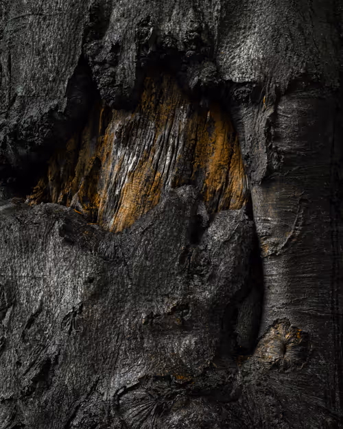 Item #92025450797269199699519638407999947828010124563072321716364901890254490828801 Media