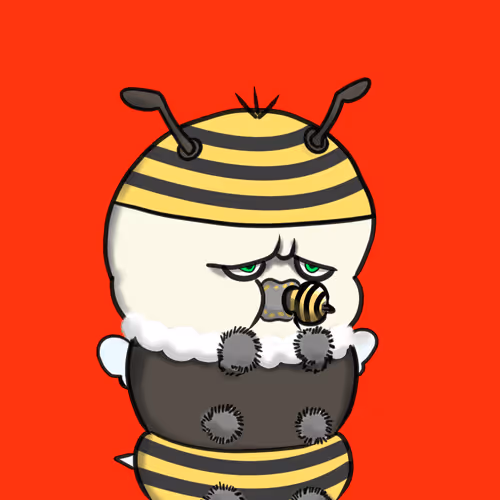 payoten Collection - old V3