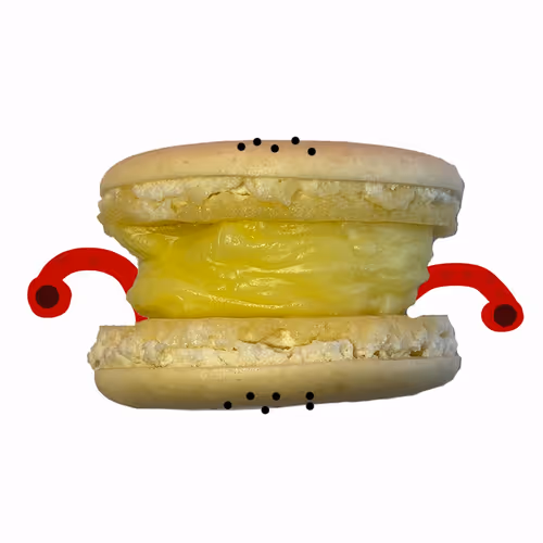 Item #2845406216766160086976848113976095904799317509645970829858438278749033070593 Media