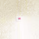 17207050627185264986004408923100878580024569021072374860821511057284874108929