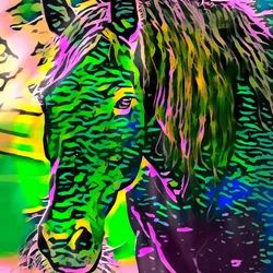 50830097462543580601473563981388698009005024090223633461481089997659111948289