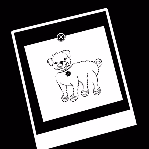 Item #40539681933038722711342434763829855181449213299354946294485290332185805455361 Media