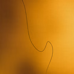 Number One "Line"  