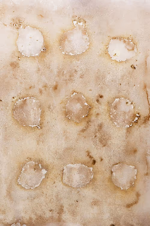 Item #111264774895172989553606282022194155892745764425417346937131400126745693650945 Media