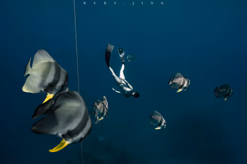 Item #75775185799272849085271004632709043340311400921657001030137476892956628615169 Media