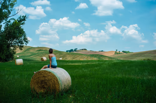 Item #88837150709499798352031986971363165703044907958800399059978422766703854223361 Media