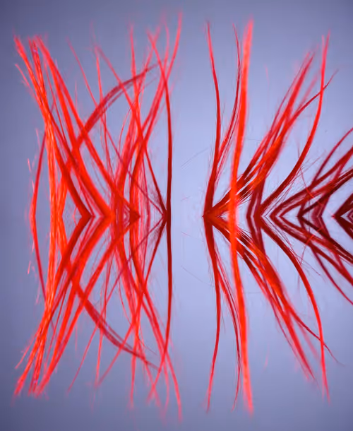 Item #8906572443787002997566689764947782042971868840218256539053663434845294952449 Media