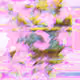 62288420463860289310427580933528577115052580480405258034880612824564237336577