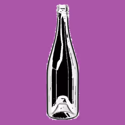 BOTTLE#17