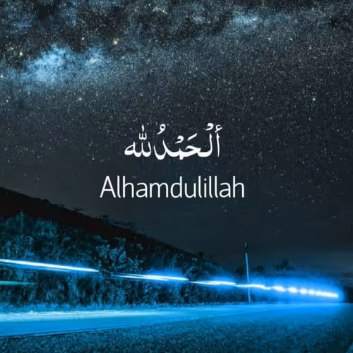 Untitled Collection #207836260