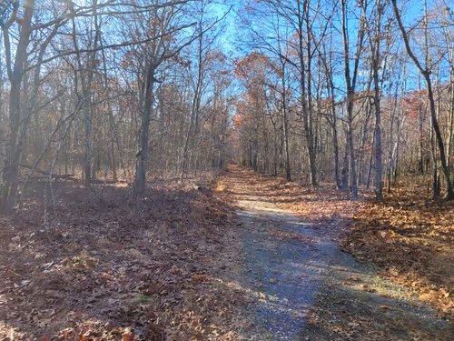 Item #34085441569699423005310991372941828806155687762378495952169943216467522617345 Media