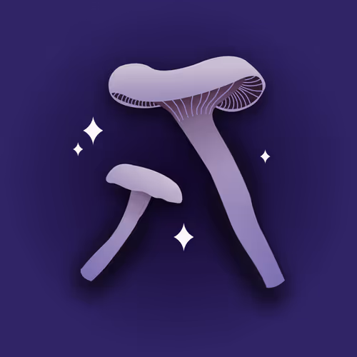 Item #53620360078498613901339183149326713416038543427946561370212888004209812701185 Media