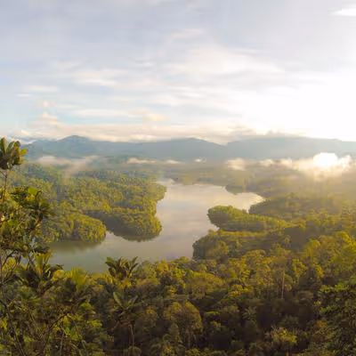 Untitled Collection #44296912