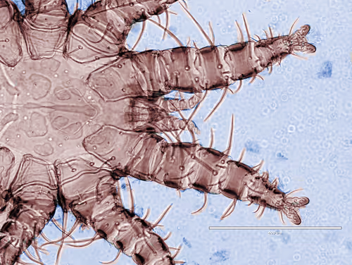 Item #108955583872739655741702358868652756405273862791069305959596897647830809706497 Media