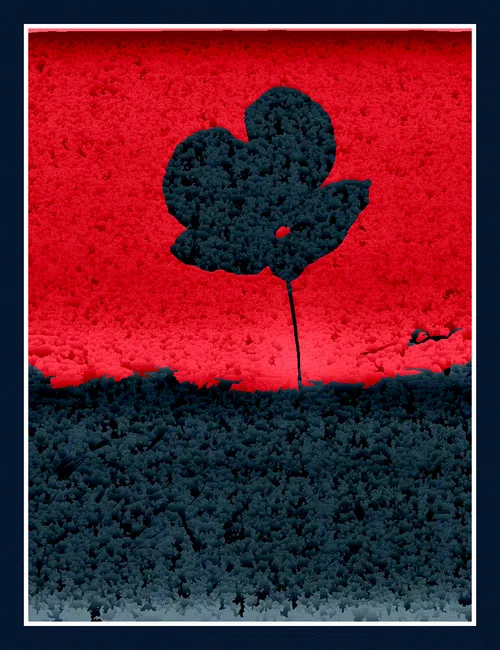 Item #28642289610413535734296160925975093096558758870368473952224141457445879808001 Media